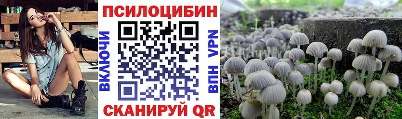 Галлюциногенные грибы Psilocybine cubensis  Карпинск 