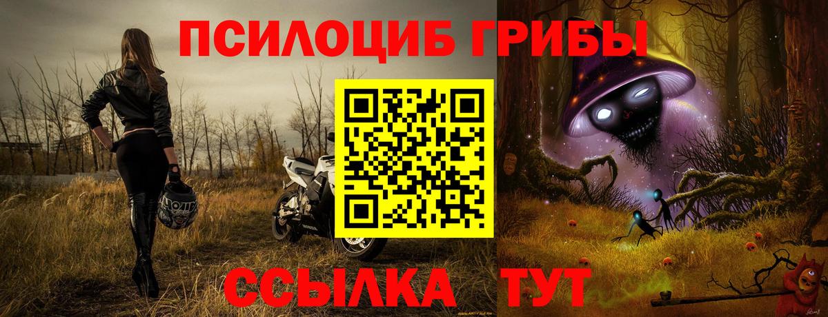 Галлюциногенные грибы MAGIC MUSHROOMS  Вход с VPN  Карпинск 