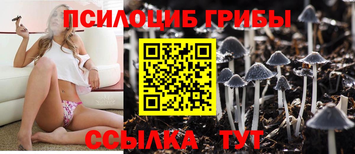 Галлюциногенные грибы MAGIC MUSHROOMS Карпинск