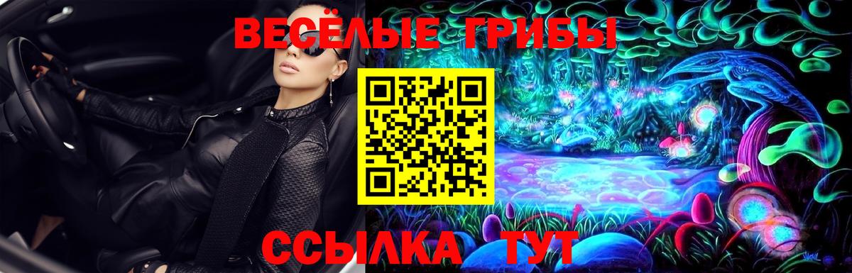 Псилоцибиновые грибы мицелий Карпинск