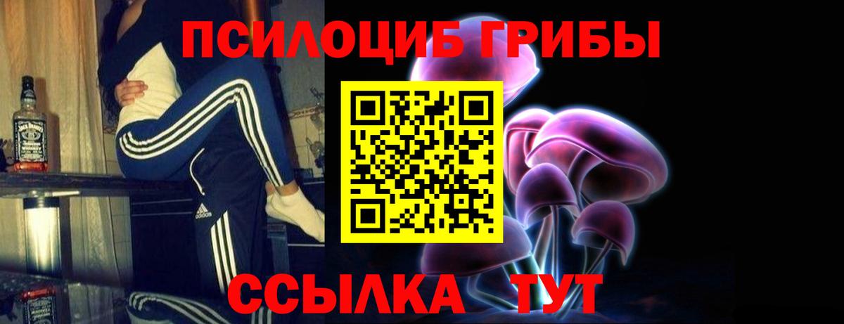 Псилоцибиновые грибы MAGIC MUSHROOMS  Галлюциногенные грибы Psilocybine cubensis  Карпинск 